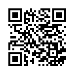 [S8b]RR イオルブV（VMAXクライマックス 010/184  ）[S8b010] QRコード