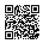 [S8b]R リザードン（VMAXクライマックス 017/184  ）[S8b017] QRコード