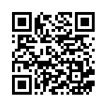 [S8b]RRR マルヤクデVMAX（VMAXクライマックス 023/184  ）[S8b023] QRコード