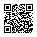 [S8b]タッツー（VMAXクライマックス 024/184  ）[S8b024] QRコード