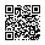 [S8b]コオリッポ（VMAXクライマックス 041/184  ）[S8b041] QRコード