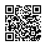 [S8b]RR はくばバドレックスV（VMAXクライマックス 043/184  ）[S8b043] QRコード