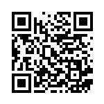 [S8b]RR ピカチュウV（VMAXクライマックス 045/184  ）[S8b045] QRコード