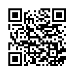 [S8b]RRR ピカチュウVMAX（VMAXクライマックス 046/184  ）[S8b046] QRコード