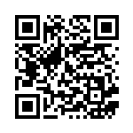 [S8b]RR パルスワンV（VMAXクライマックス 055/184  ）[S8b055] QRコード