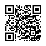 [S8b]デデンネ（VMAXクライマックス 073/184  ）[S8b073] QRコード