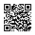 [S8b]RRR ニンフィアVMAX（VMAXクライマックス 075/184  ）[S8b075] QRコード