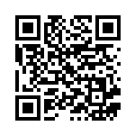 [S8b]RRR ミミッキュVMAX（VMAXクライマックス 077/184  ）[S8b077] QRコード