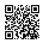 [S8b]RR こくばバドレックスV（VMAXクライマックス 082/184  ）[S8b082] QRコード