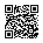 [S8b]RR ガラルサンダーV（VMAXクライマックス 084/184  ）[S8b084] QRコード