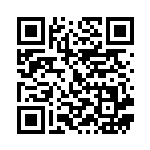 [S8b]RRR れんげきウーラオスVMAX（VMAXクライマックス 095/184  ）[S8b095] QRコード