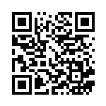 [S8b]RR ブラッキーV（VMAXクライマックス 100/184  ）[S8b100] QRコード