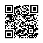 [S8b]RRR ブラッキーVMAX（VMAXクライマックス 101/184  ）[S8b101] QRコード