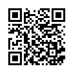 [S8b]R ヘルガー（VMAXクライマックス 103/184  ）[S8b103] QRコード