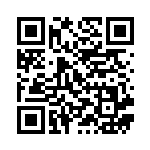 [S8b]RR アーマーガアV（VMAXクライマックス 115/184  ）[S8b115] QRコード