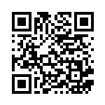 [S8b]RRR アーマーガアVMAX（VMAXクライマックス 116/184  ）[S8b116] QRコード