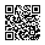 [S8b]RR レックウザV（VMAXクライマックス 119/184  ）[S8b119] QRコード