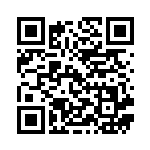 [S8b]RR ハピナスV（VMAXクライマックス 127/184  ）[S8b127] QRコード