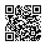 [S8b]レベルボール（VMAXクライマックス 141/184  ）[S8b141] QRコード