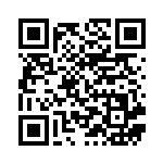 [S8b]ヒート炎エネルギー（VMAXクライマックス 172/184  ）[S8b172] QRコード