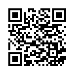 [S8b]CHR サンダース（VMAXクライマックス 193/184  ）[S8b193] QRコード