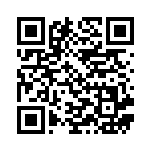 [S8b]CHR ナゲツケサル（VMAXクライマックス 203/184  ）[S8b203] QRコード