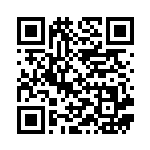 [S8b]CSR はくばバドレックスVMAX（VMAXクライマックス 221/184  ）[S8b221] QRコード