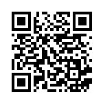 [S8b]CSR ゼラオラV（VMAXクライマックス 224/184  ）[S8b224] QRコード