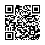 [S8b]CSR ニンフィアVMAX（VMAXクライマックス 232/184  ）[S8b232] QRコード