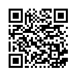 [S8b]CSR ミミッキュV（VMAXクライマックス 233/184  ）[S8b233] QRコード