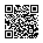 [S8b]CSR れんげきウーラオスVMAX（VMAXクライマックス 241/184  ）[S8b241] QRコード