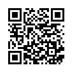 [S8b]CSR ガラルファイヤーV（VMAXクライマックス 242/184  ）[S8b242] QRコード