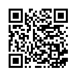 [S8b]CSR クロバットV（VMAXクライマックス 243/184  ）[S8b243] QRコード