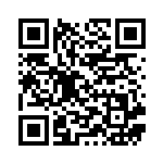 [S8b]CSR アーマーガアVMAX（VMAXクライマックス 249/184  ）[S8b249] QRコード