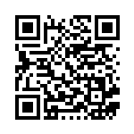 [S8b]CSR ハピナスV（VMAXクライマックス 254/184  ）[S8b254] QRコード