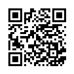 [S8b]SR アセロラの予感（VMAXクライマックス 255/184  ）[S8b255] QRコード