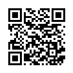 [S8b]SR 冒険家の発見（VMAXクライマックス 267/184  ）[S8b267] QRコード