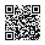 [S9]U ブーバーン（スターバース 017/100  ）[S9017] QRコード