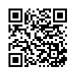 [S9]C ヒコザル（スターバース 019/100  ）[S9019] QRコード