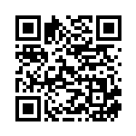 [S9]RR ライチュウV（スターバース 034/100  ）[S9034] QRコード