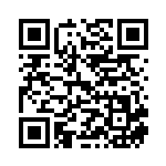 [S9]C パチリス（スターバース 040/100  ）[S9040] QRコード