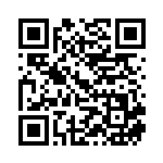 [S9]RR フライゴンV（スターバース 072/100  ）[S9072] QRコード