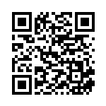 [S9]R ガブリアス（スターバース 075/100  ）[S9075] QRコード