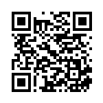 [S9]R ビーダル（スターバース 082/100  ）[S9082] QRコード