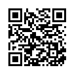 [S9]RRR アルセウスVSTAR（スターバース 084/100  ）[S9084] QRコード