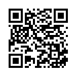 [S9]SR リザードンV（スターバース 103/100  ）[S9103] QRコード