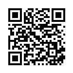 [S9]SR ライチュウV（スターバース 106/100  ）[S9106] QRコード