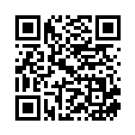 [S9]SR アルセウスV（スターバース 111/100  ）[S9111] QRコード