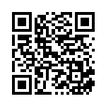 [S9]SR アルセウスV（スターバース 112/100  ）[S9112] QRコード