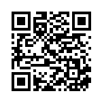 [S9]HR シェイミVSTAR（スターバース 117/100  ）[S9117] QRコード